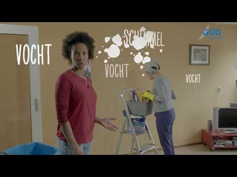 Hoe verwijder je schimmels?