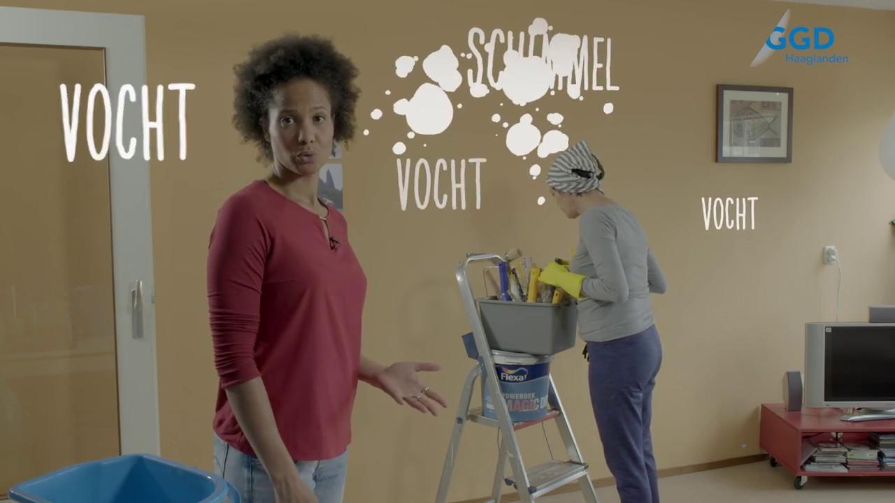 Hoe verwijder je schimmels?